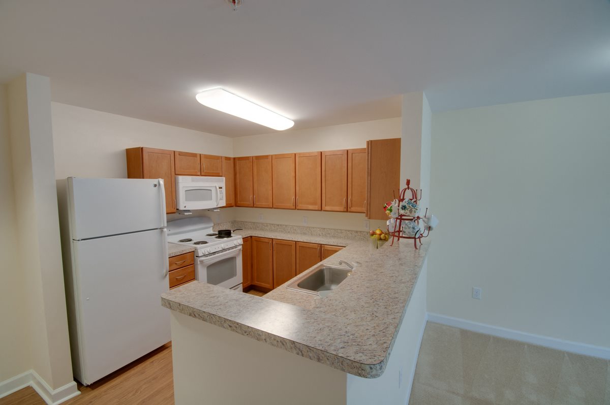 Fully-equipped Apartment Kitchen